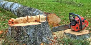 Best Tree Removal Services  in Sisco Heights, WA